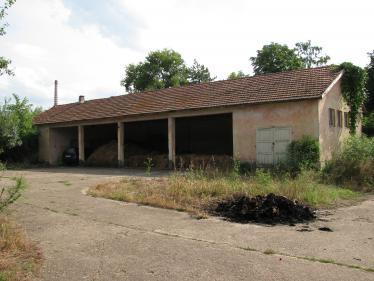 Warehouses Polski Trambesh