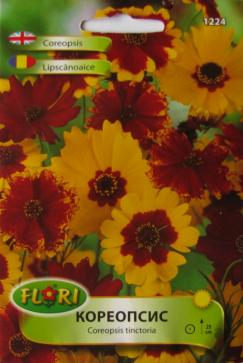 Coreopsis