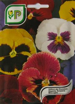 Pansy Mix