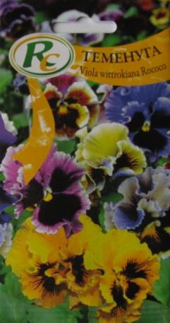 Pansy Rococo