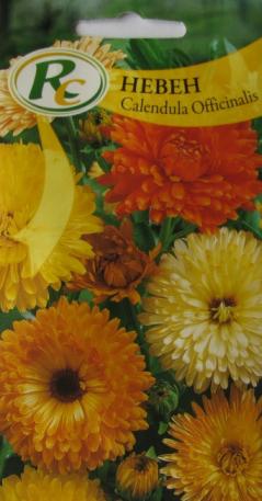 Calendula