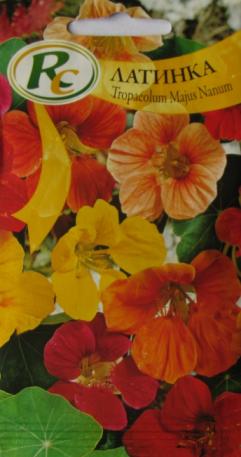 Nasturtium