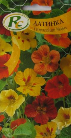 Nasturtium Climbing