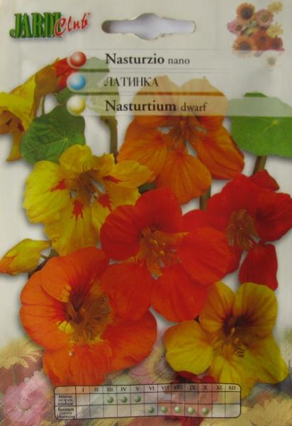 Nasturtium