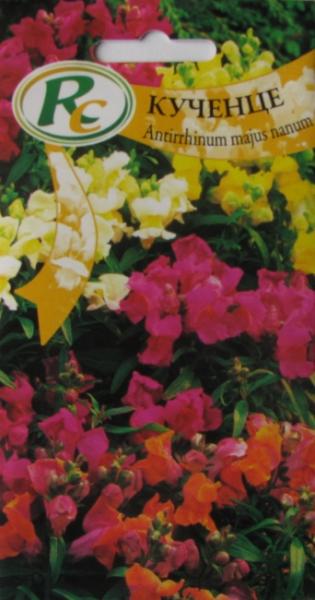 Antirrhinum