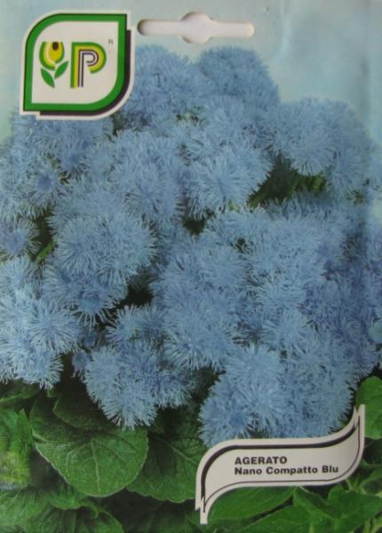 Ageratum