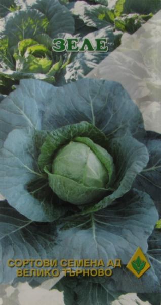 Cabbage Ditmarsko