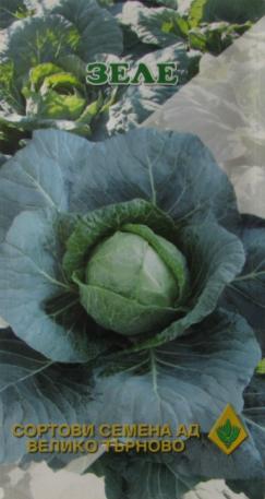 Cabbage Balkan