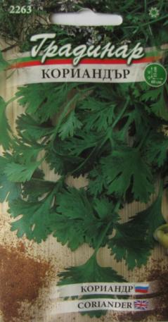 Coriander